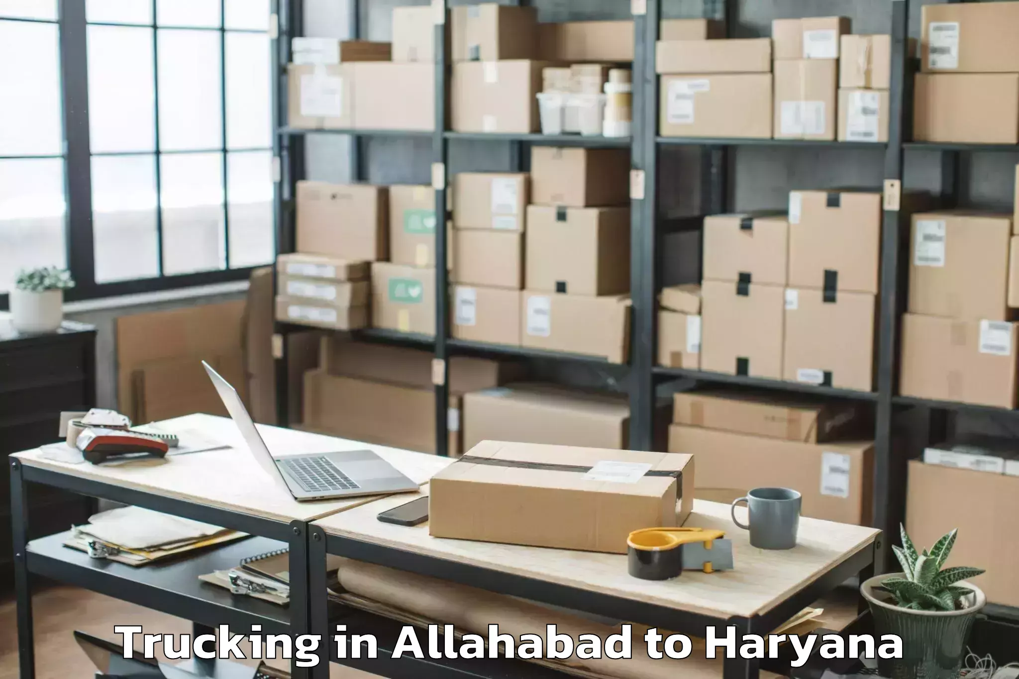 Easy Allahabad to Eros Ef3 Mall Trucking Booking